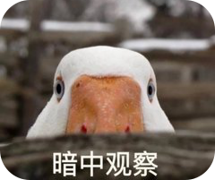 圖片3.png