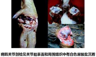 圖片5.png