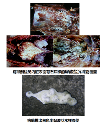 圖片4.png
